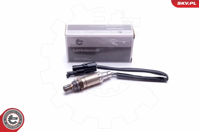 Oxygen Sensor